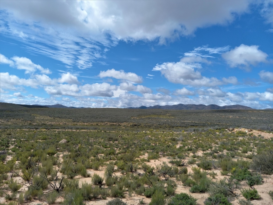 Commercial Property for Sale in George Rural Western Cape